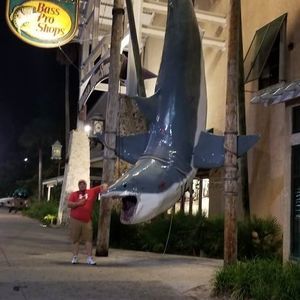 Meet your Posher, Tim